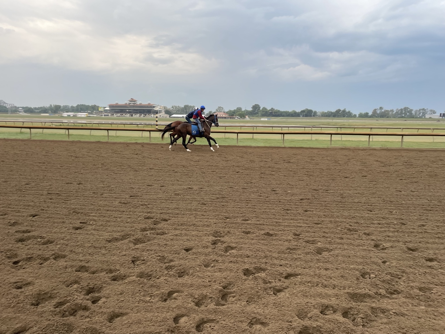 Bernie White Socks working over the Ellis Park racetrack