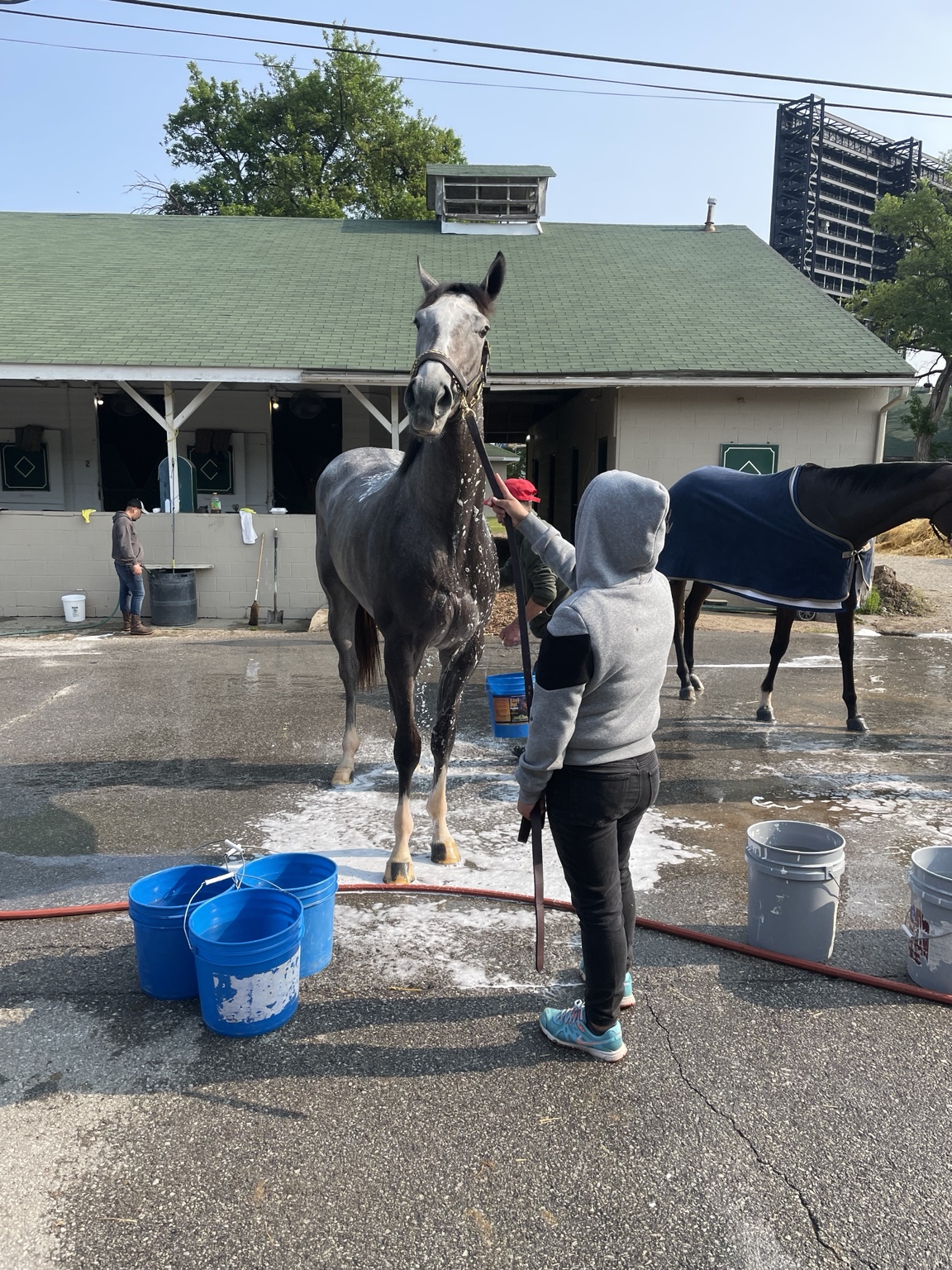 Hope Continually getting a bath at Churchill Downs
